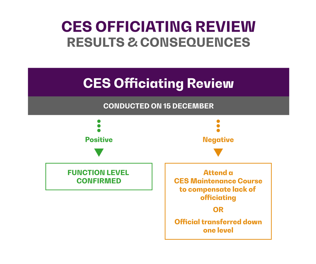 FEI Competencybased Evaluation System (CES) FEI