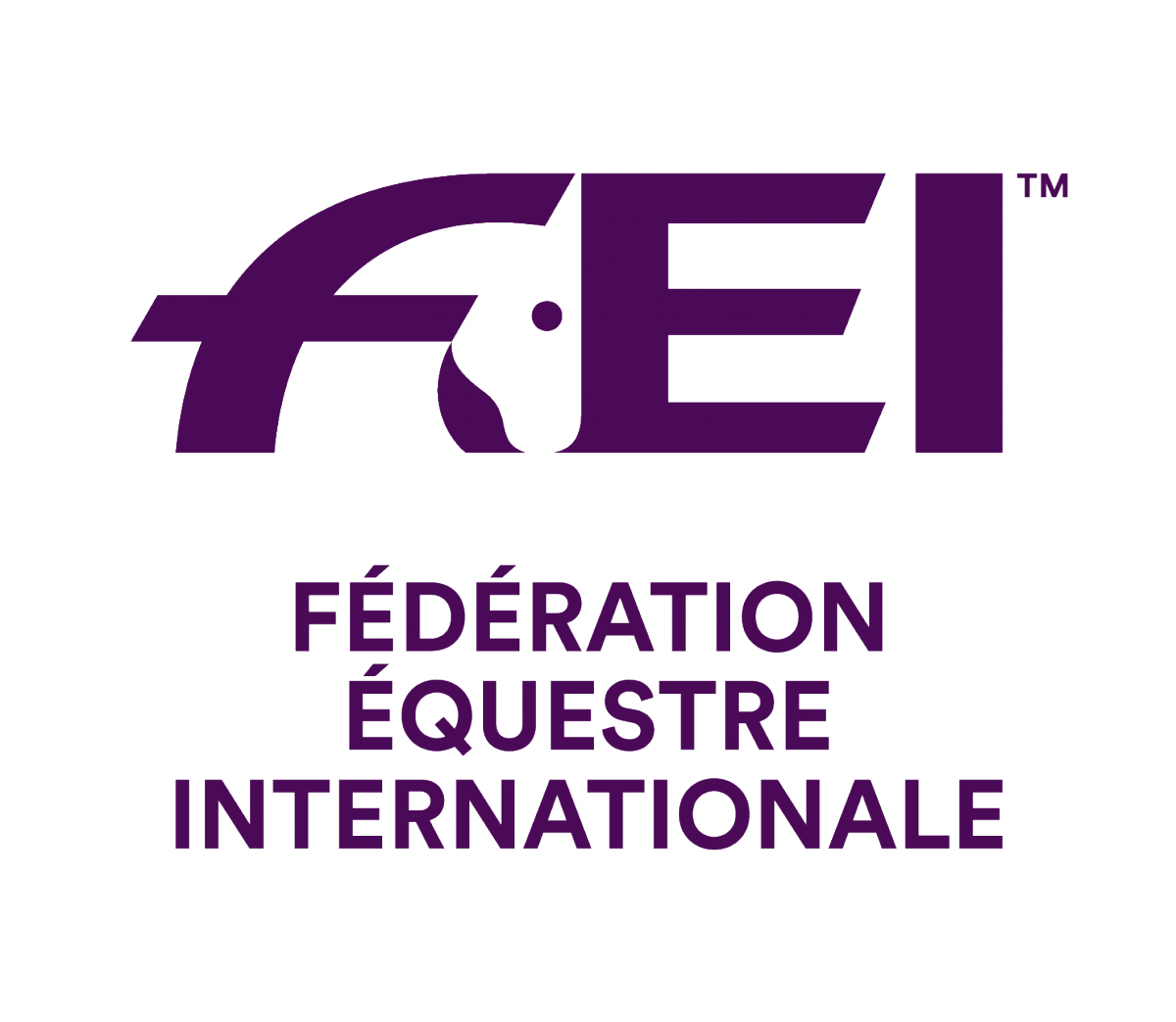 Commercial Branding FEI